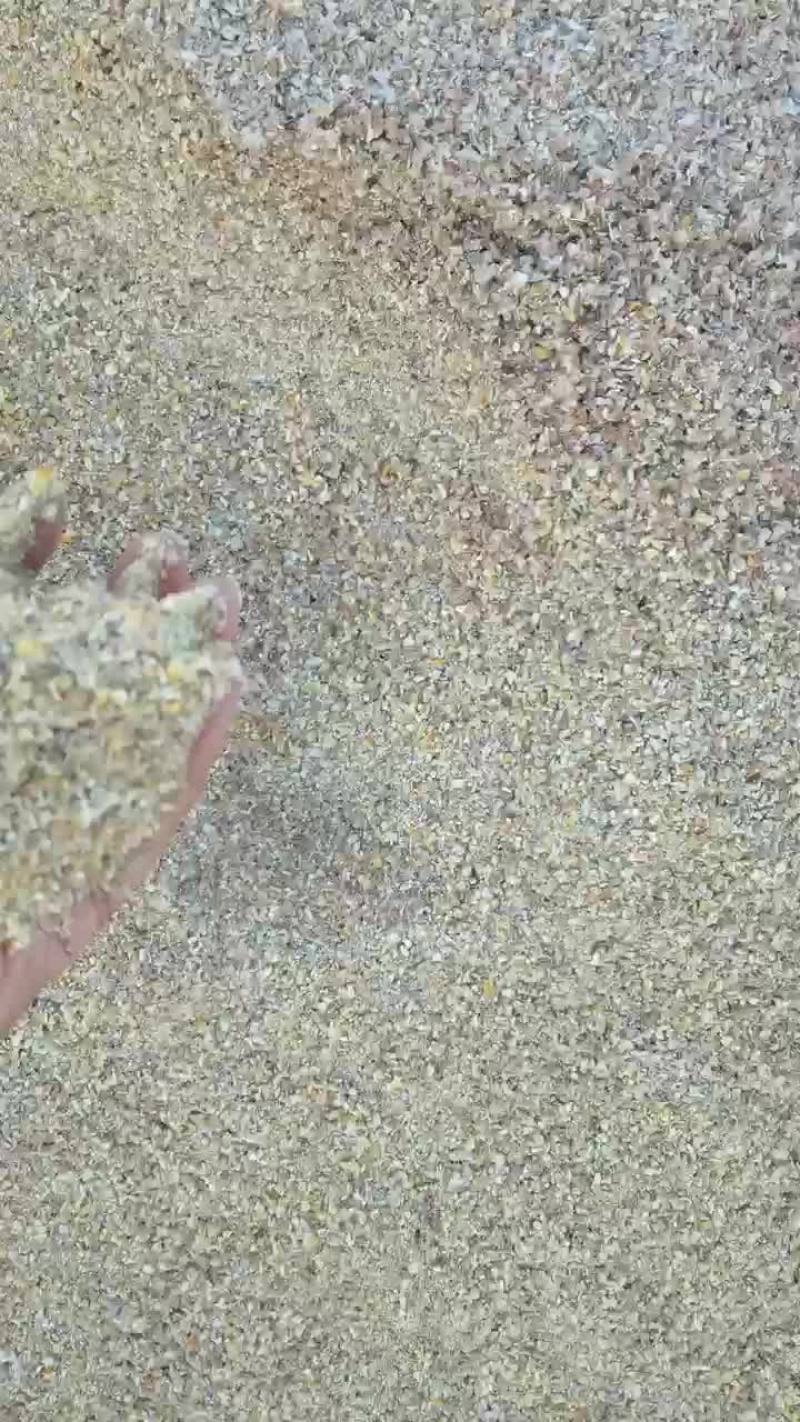 玉米漏