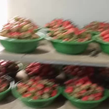 奶油草莓