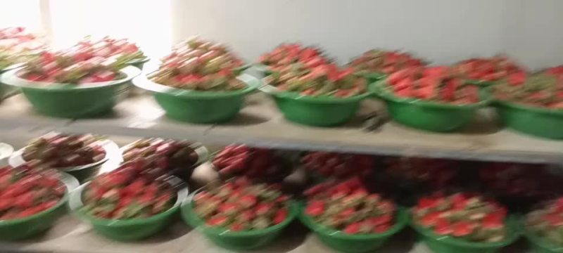 奶油草莓