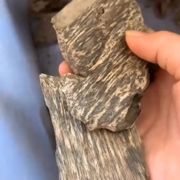 沉香壳子料，产地直销，支持现场看货