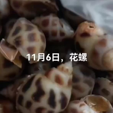 花螺