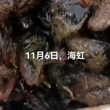 海虹