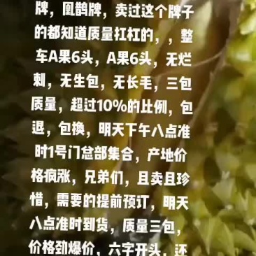 榴莲