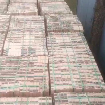精品小红砖