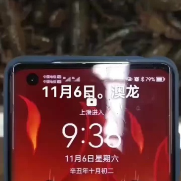 澳龙