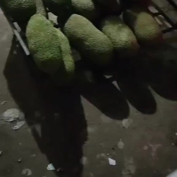 菠萝蜜