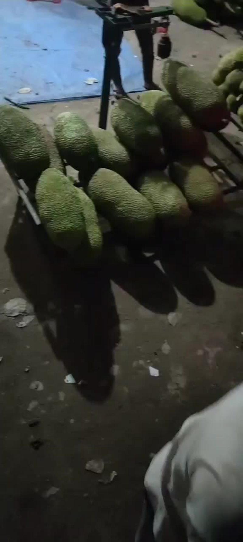 菠萝蜜
