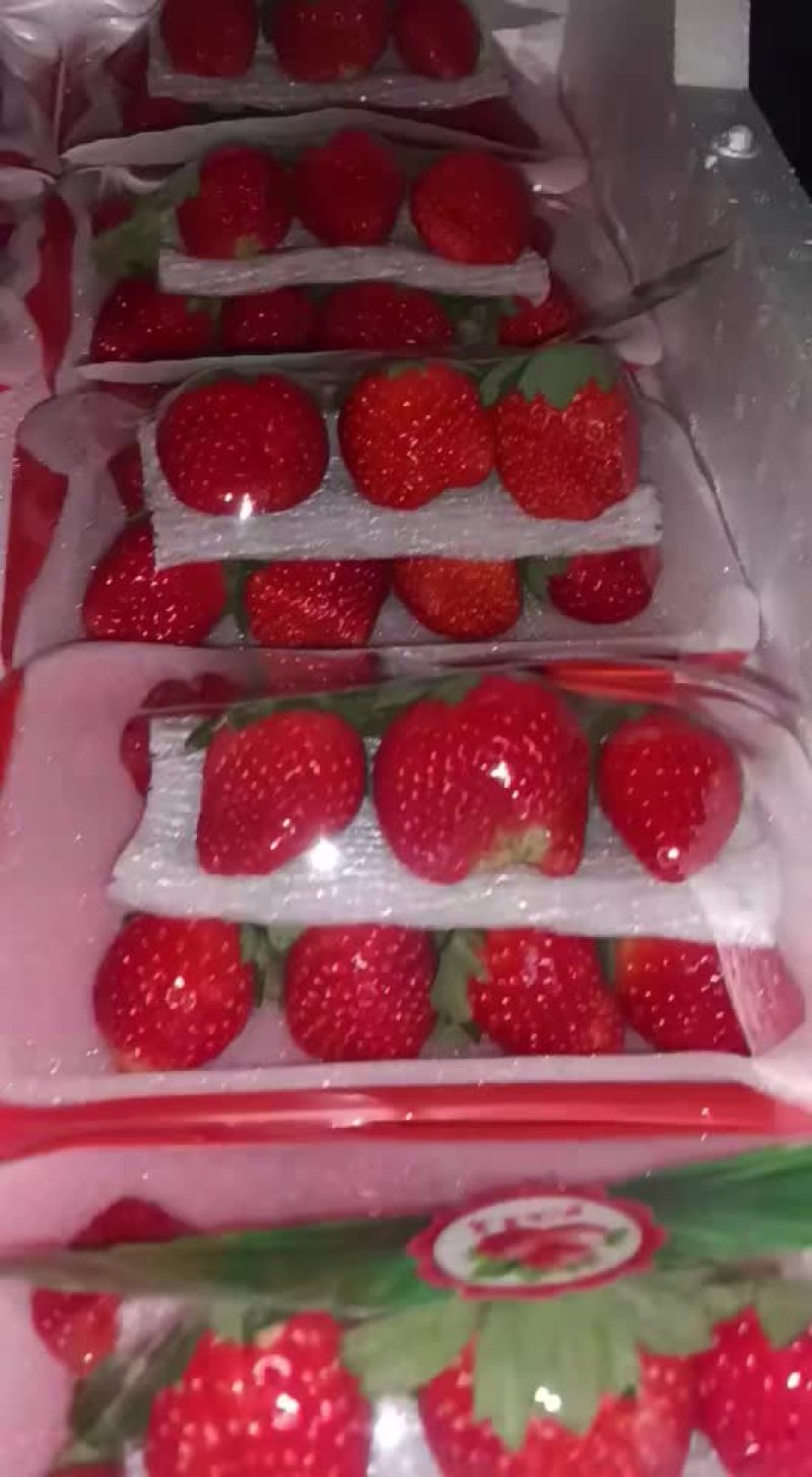 奶油草莓