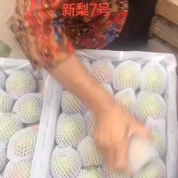 香梨