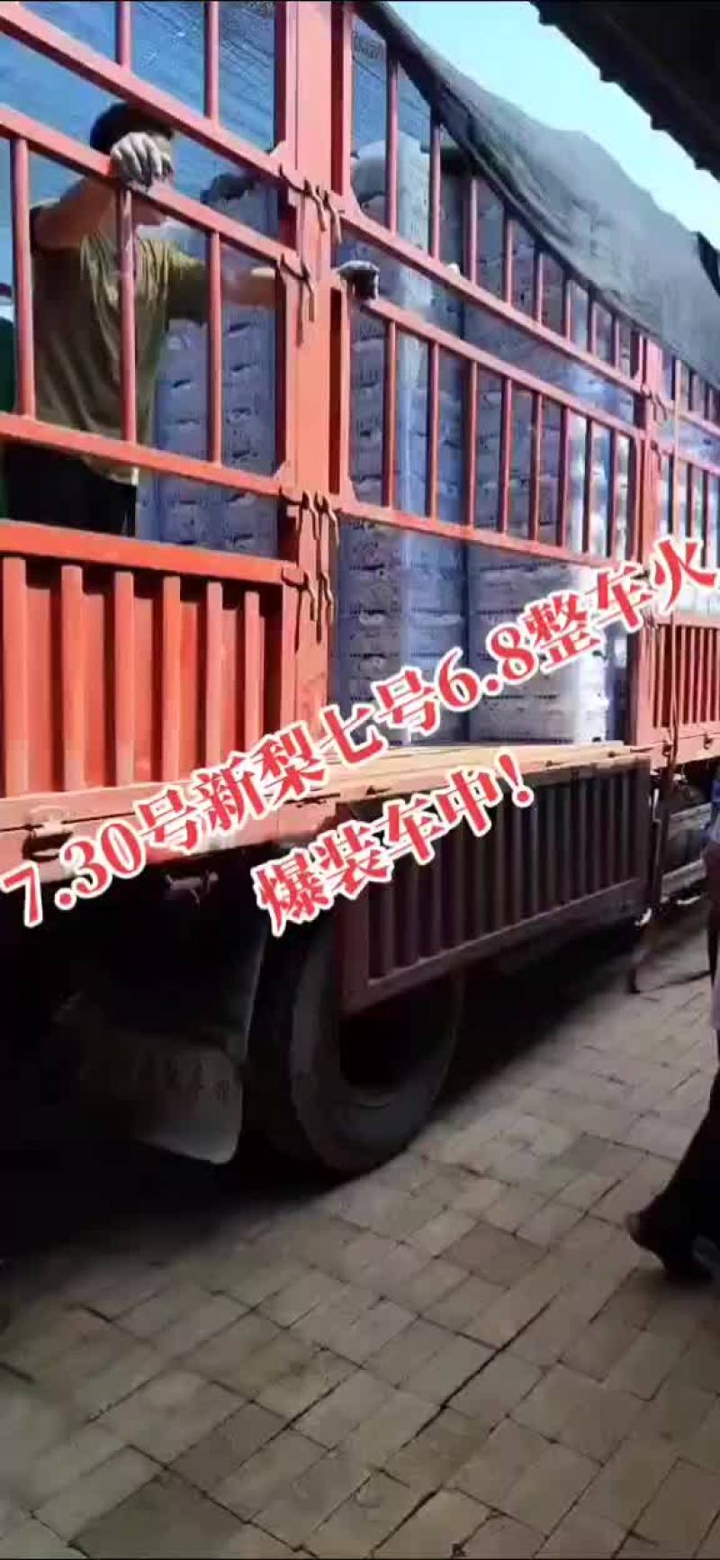 香梨