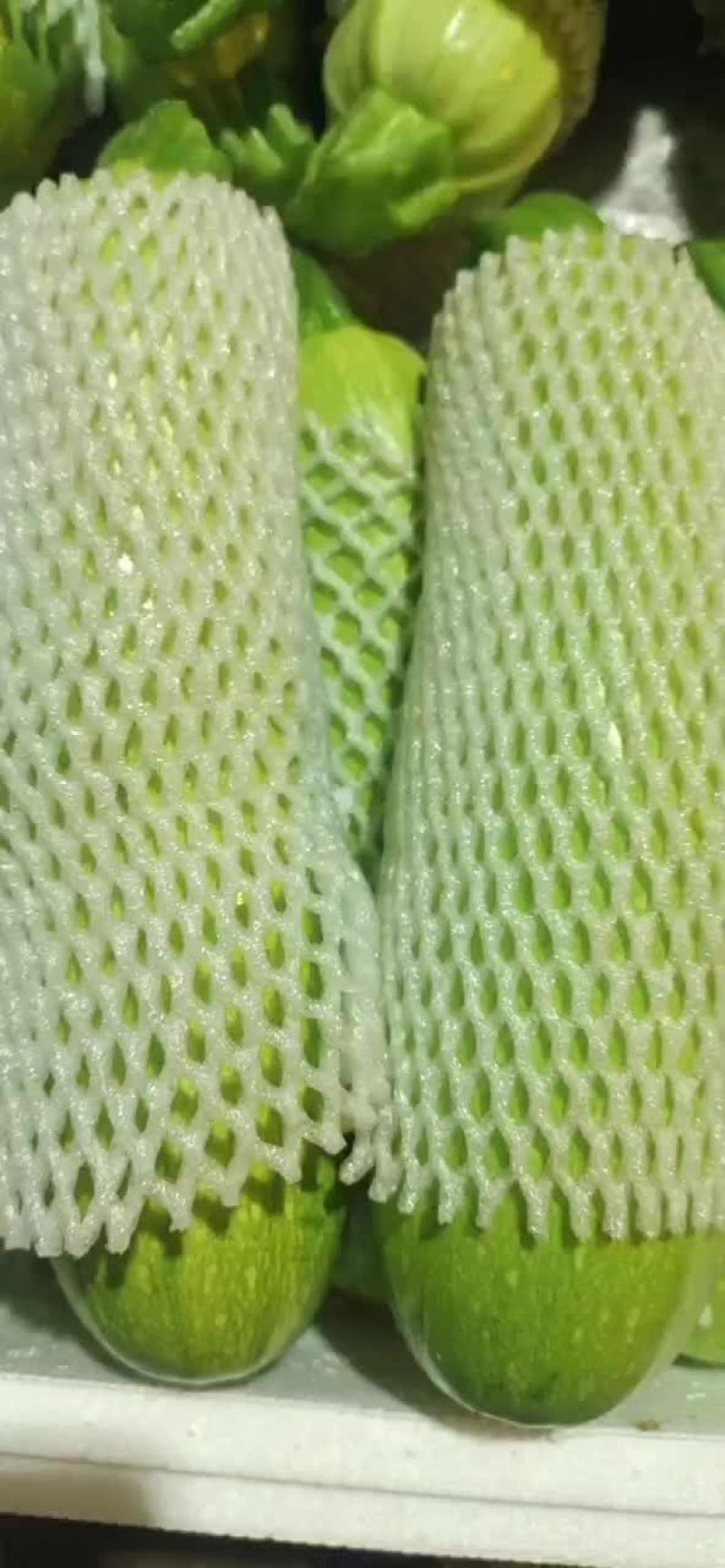 西葫芦