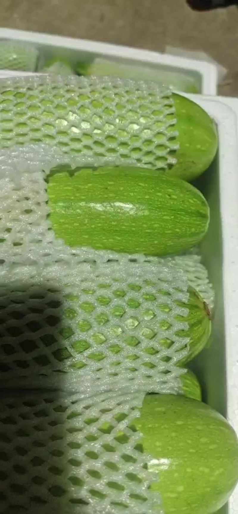 西葫芦