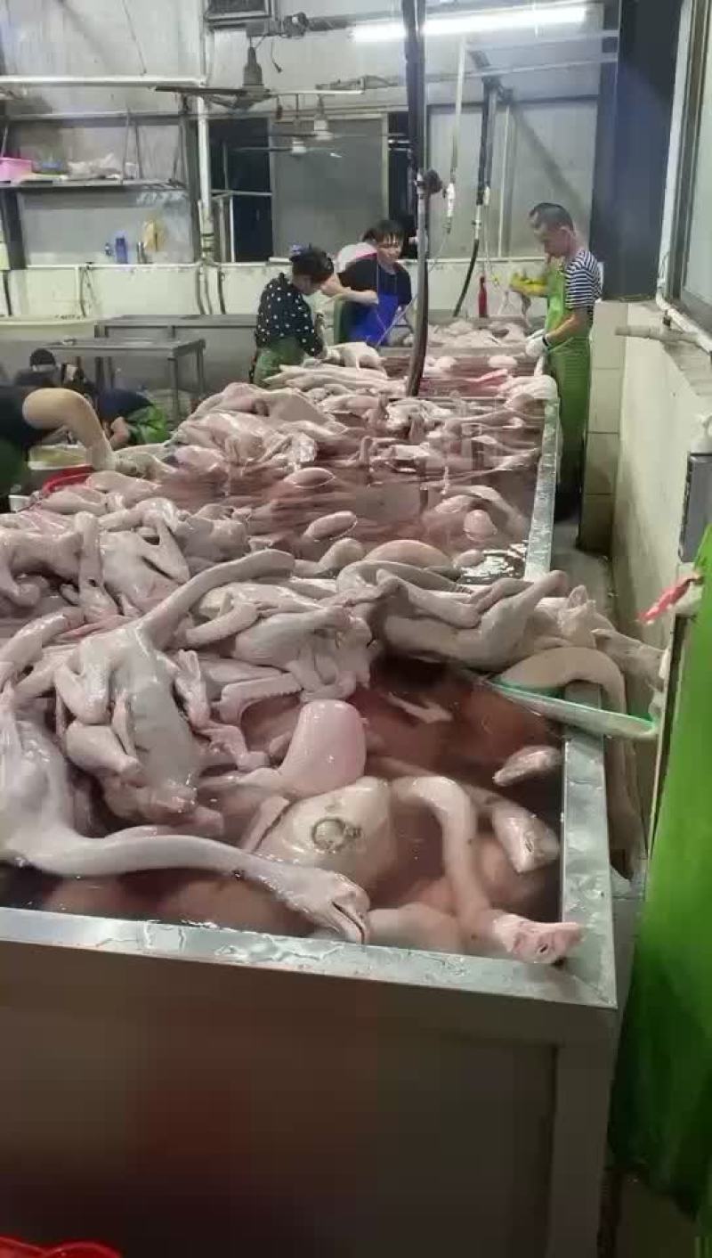 打包发出