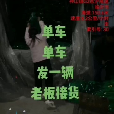 邳州蒜苔