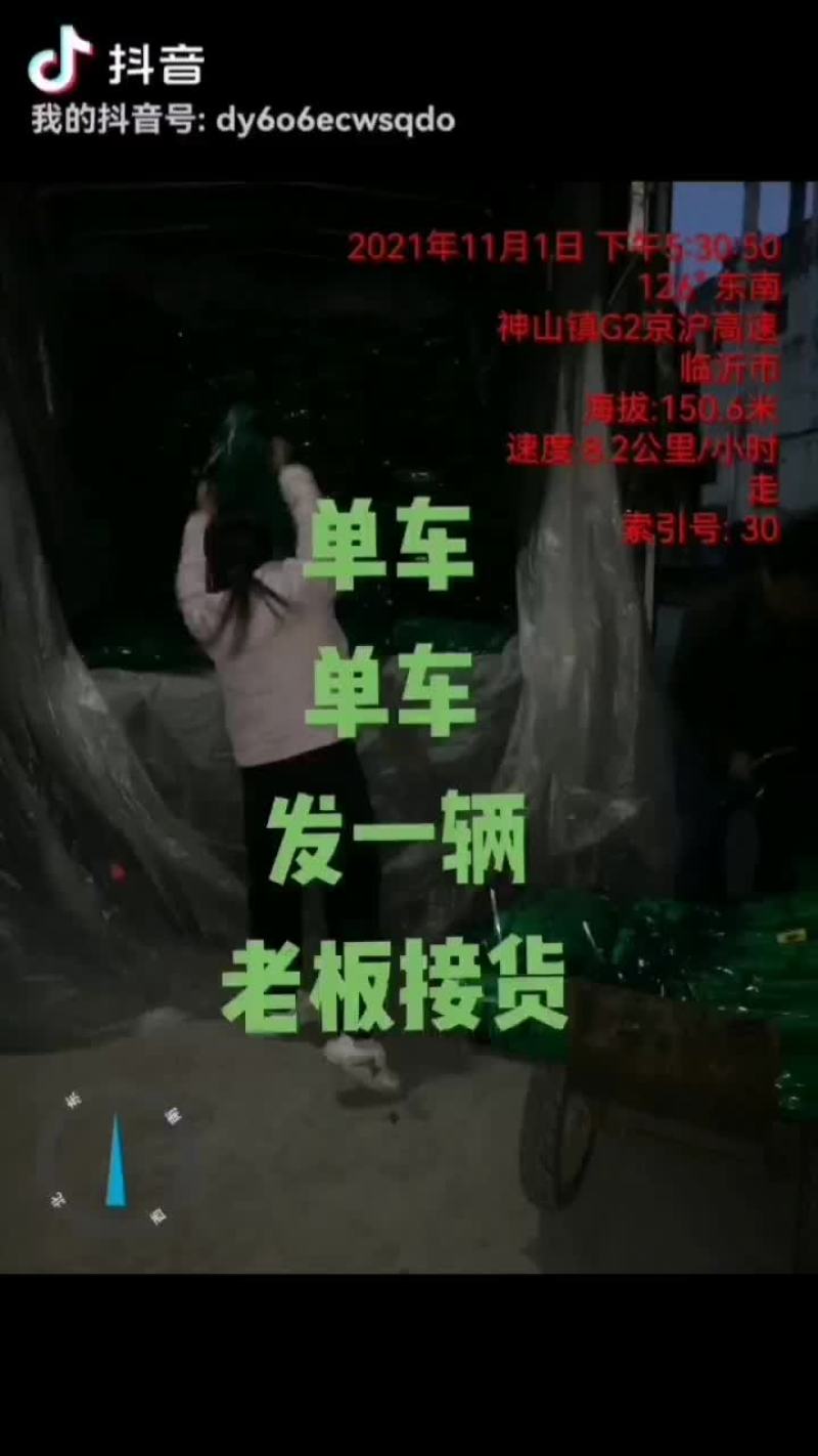 邳州蒜苔