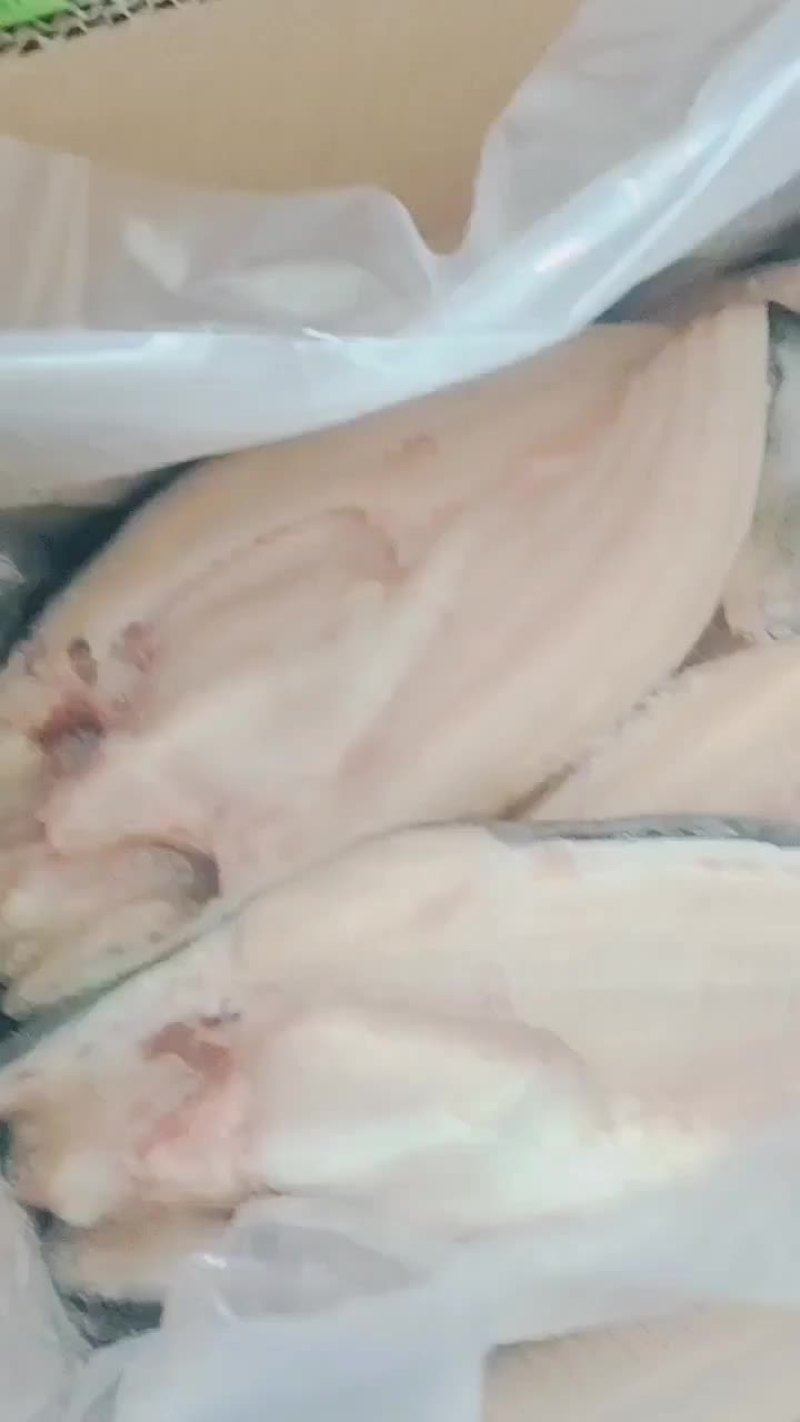 开背巴沙鱼
