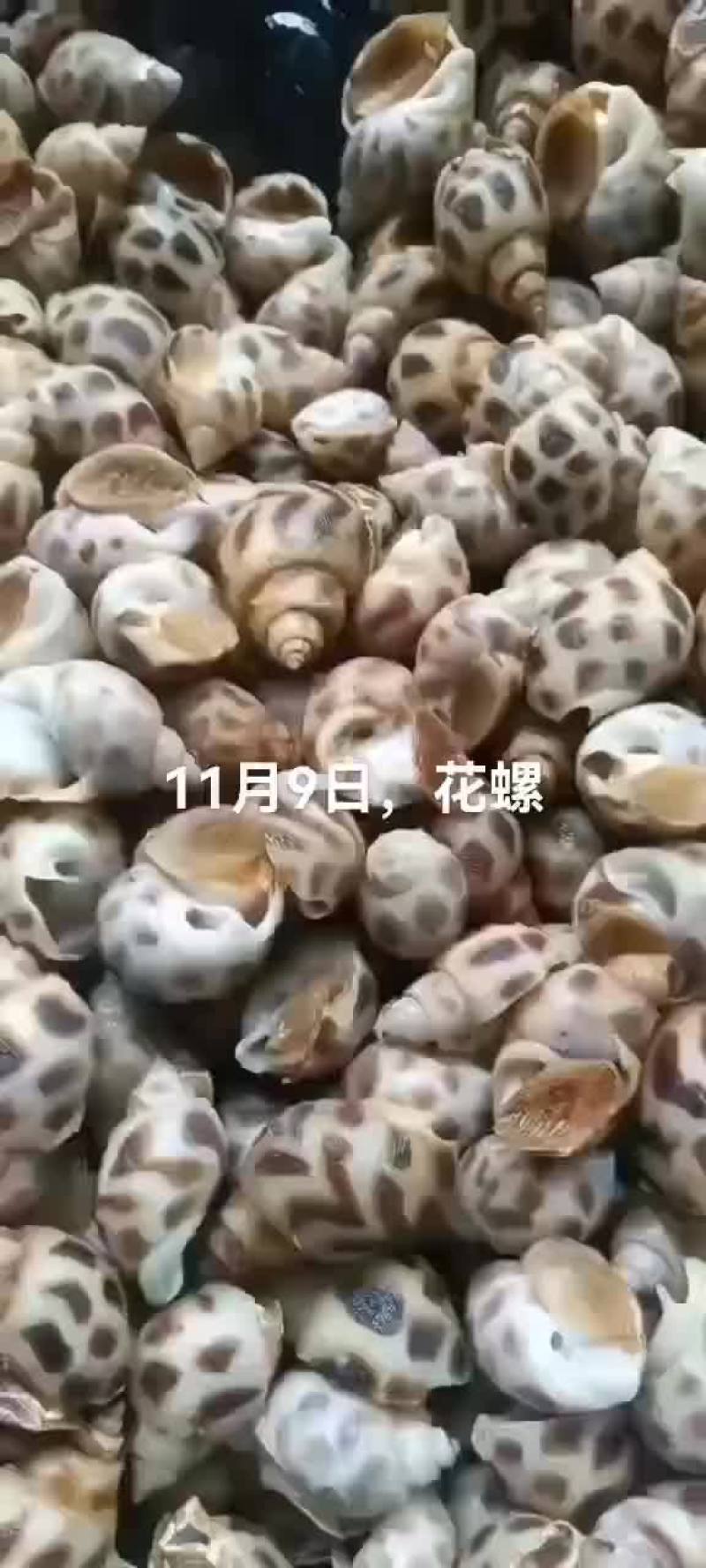 花螺