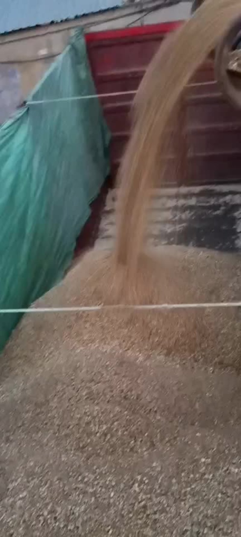 出售玉米芯颗粒