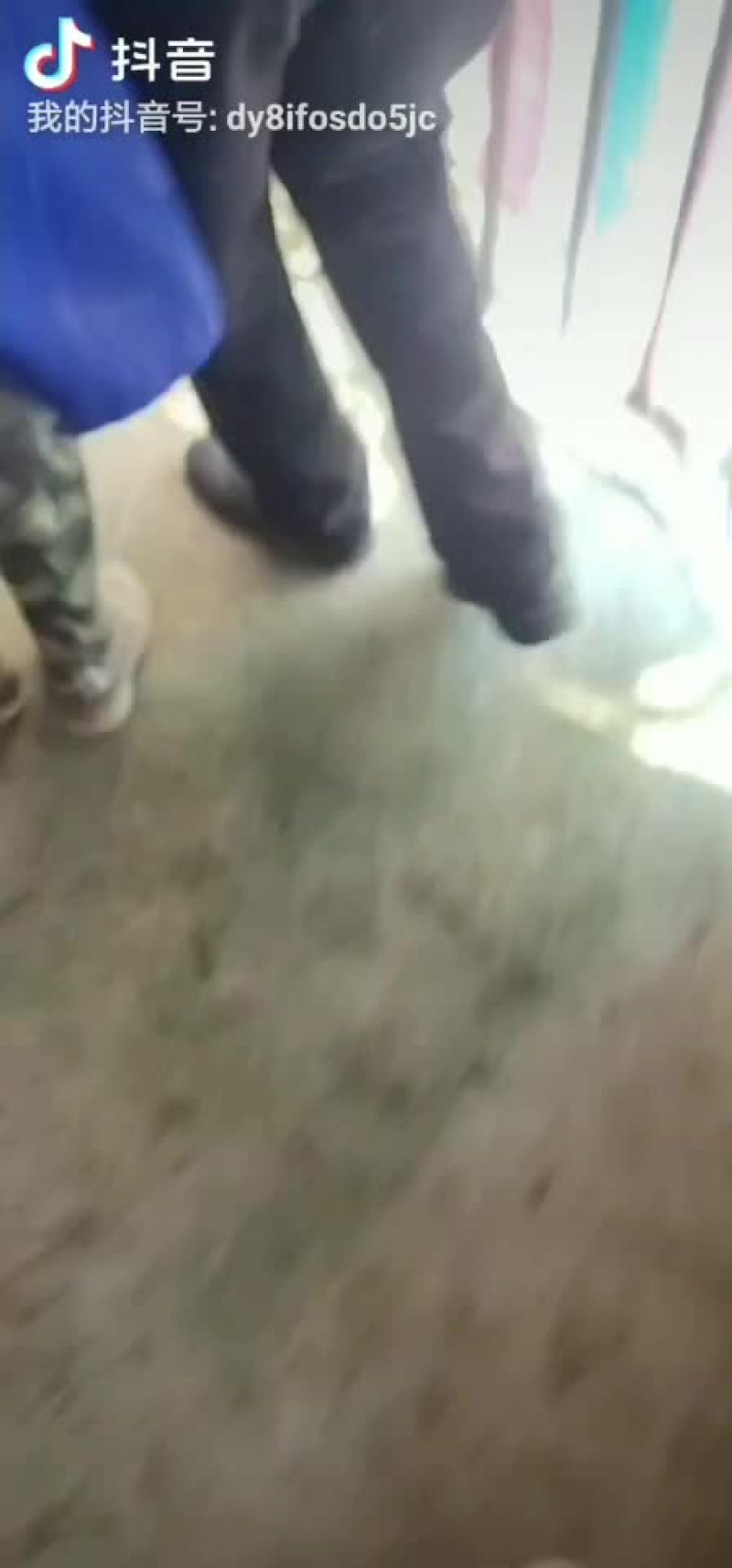 生猪