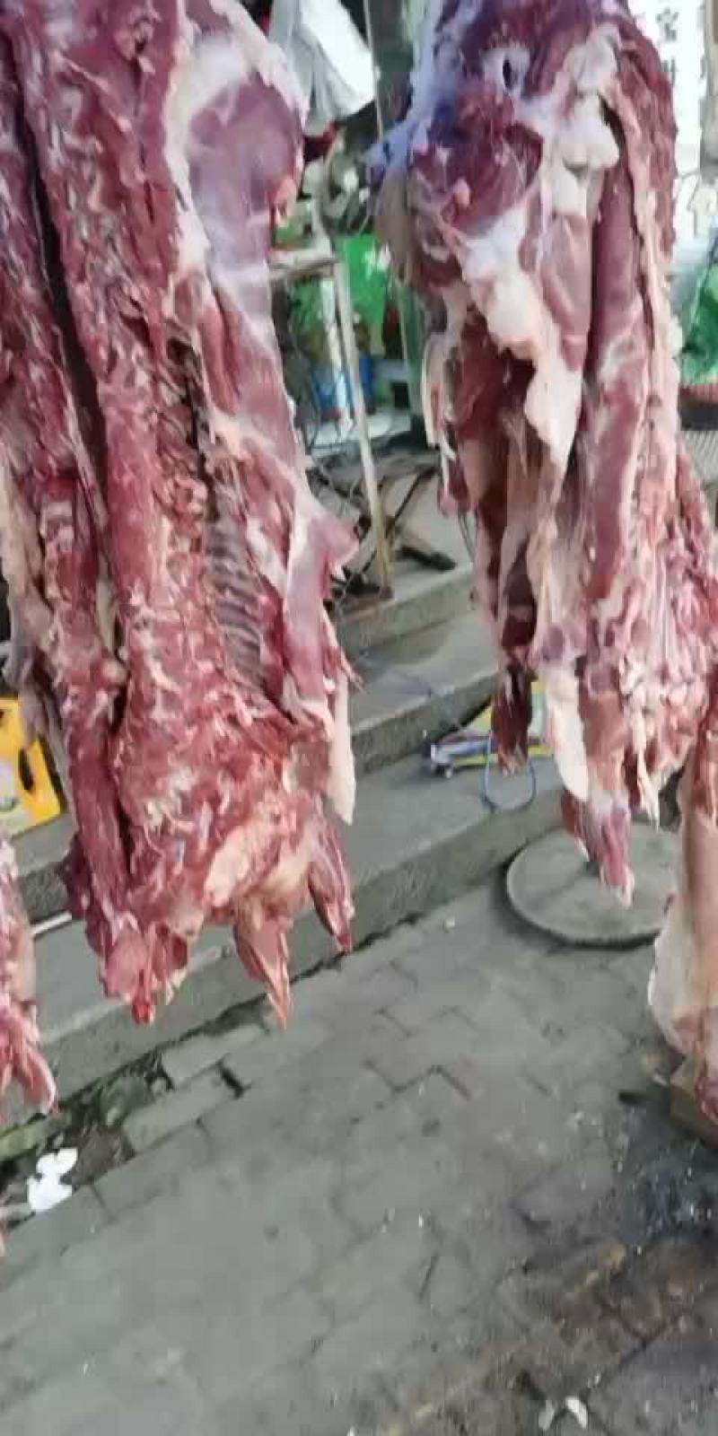 带皮羊酮体，量大从优，价格美丽，欢迎合作