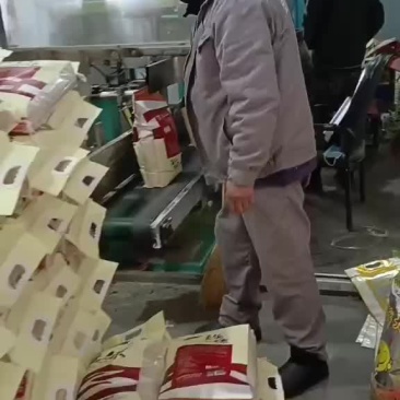 蟹田大米