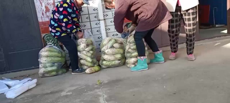 萝卜
