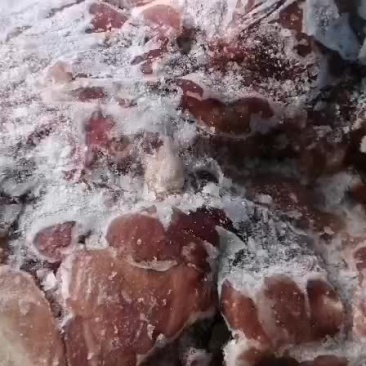 去皮去骨前腿肉