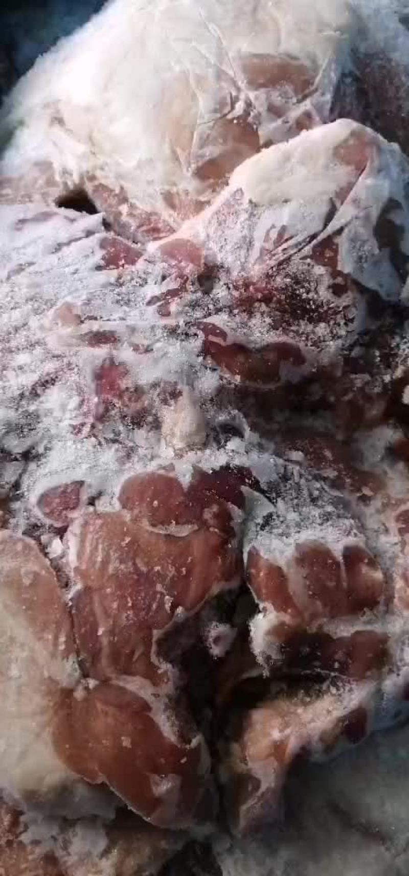 去皮去骨前腿肉
