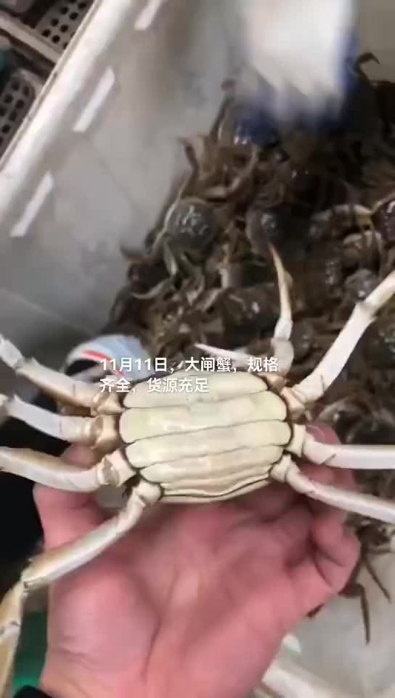 大闸蟹