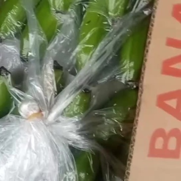 香蕉