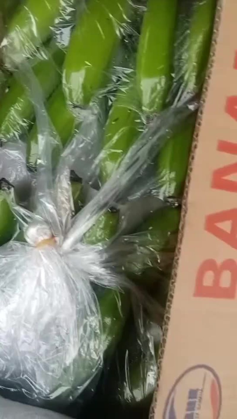 香蕉