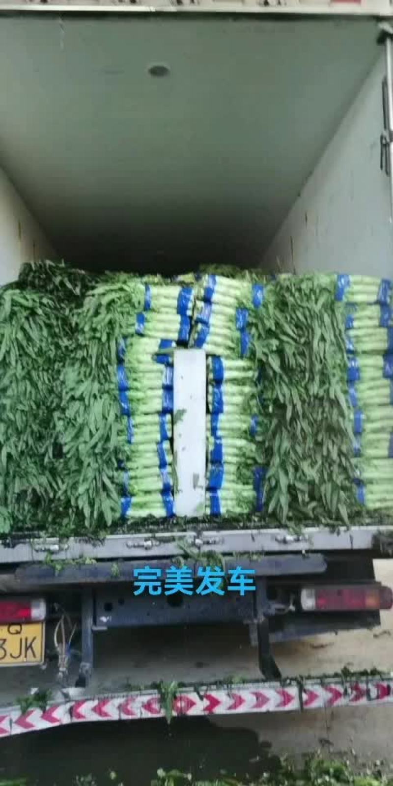 生菜