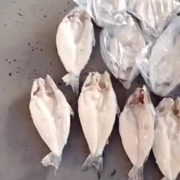 开背巴沙鱼，10/11条，优惠，12到15条的超低价65