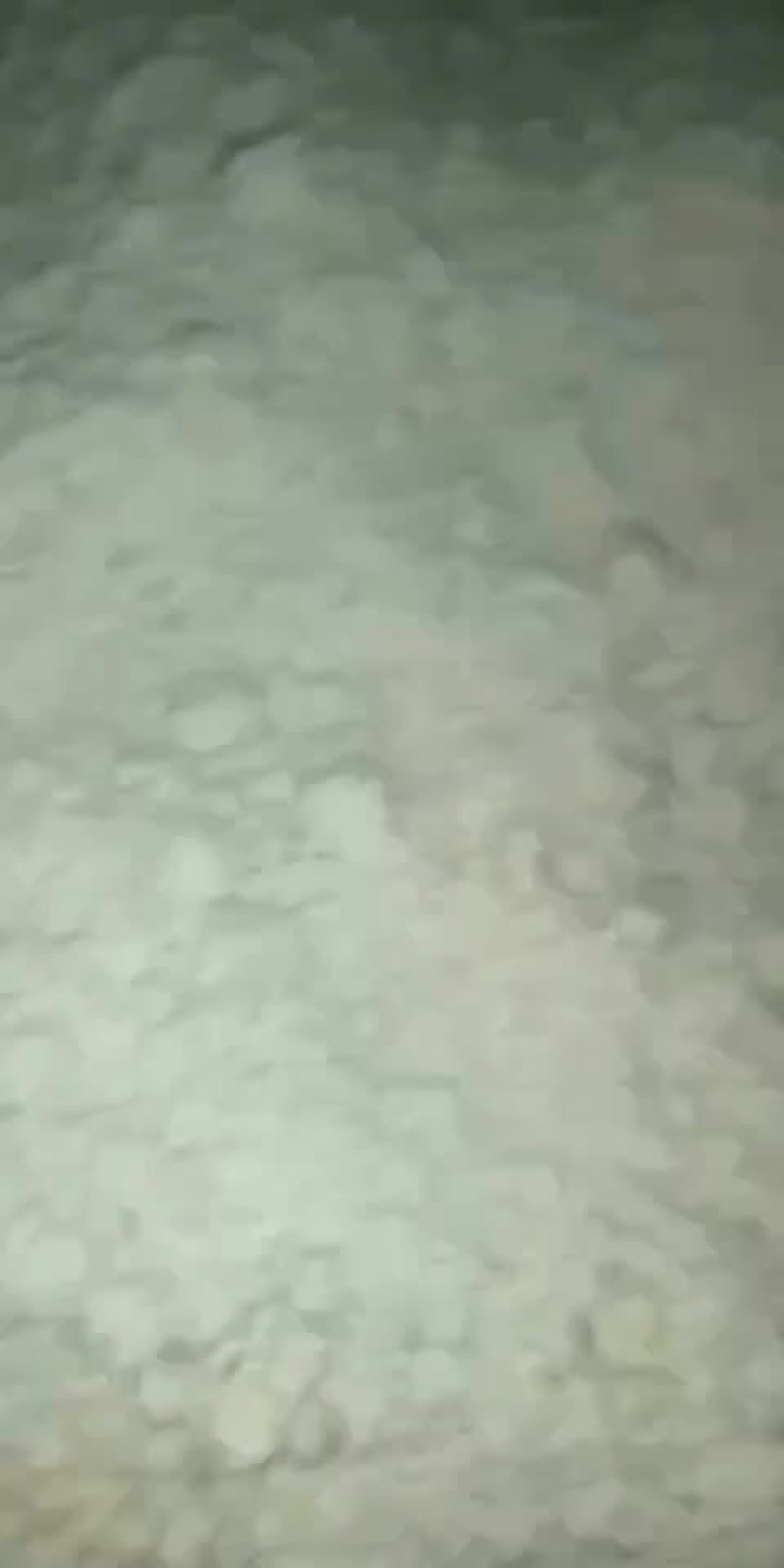 豆渣