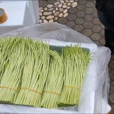 精品芦蒿，欢迎选购！