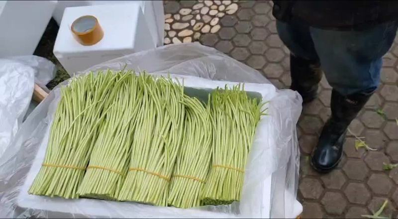 精品芦蒿，欢迎选购！