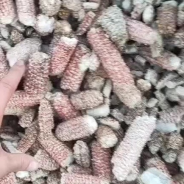 精品玉米芯颗粒