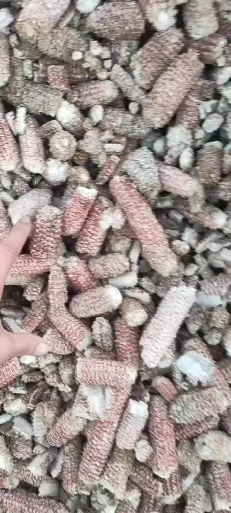 精品玉米芯颗粒