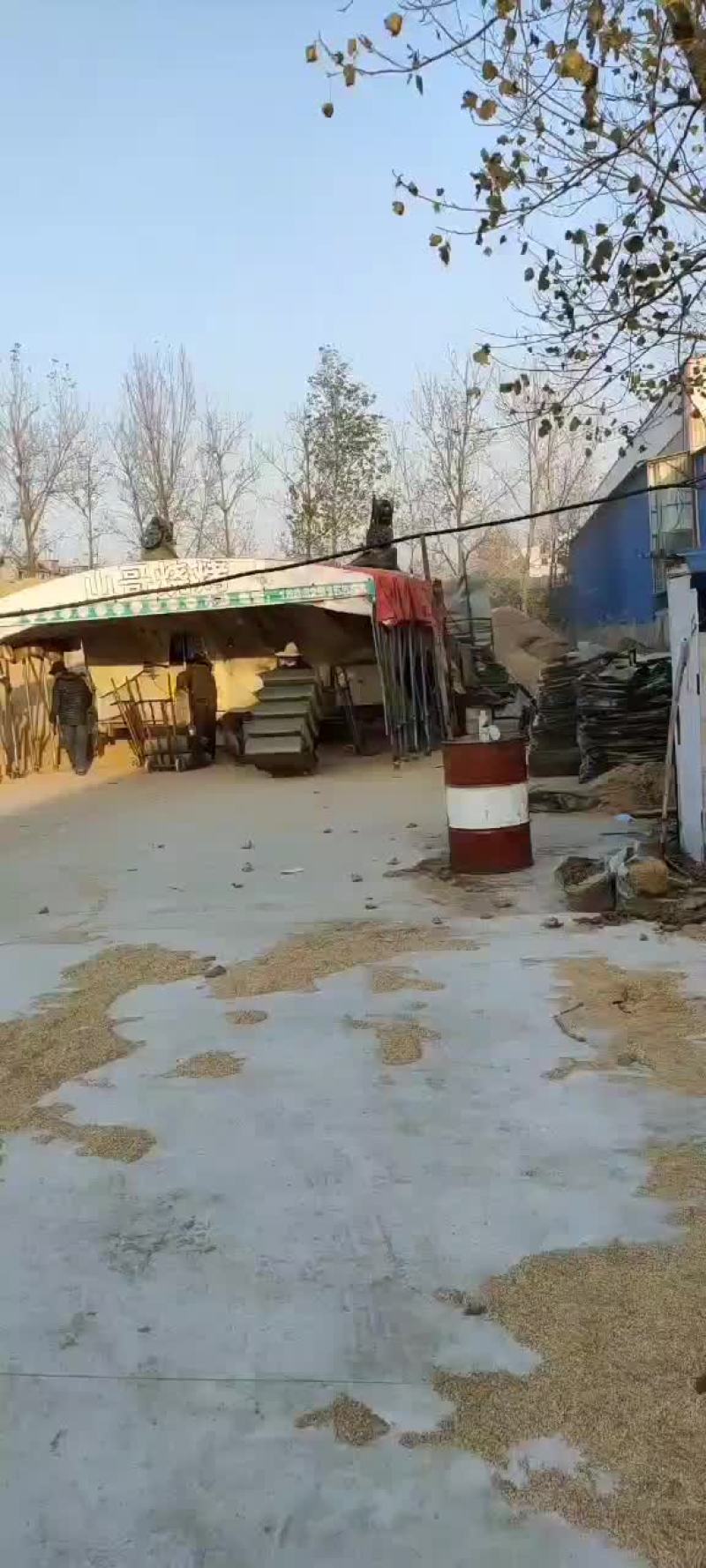 稻壳