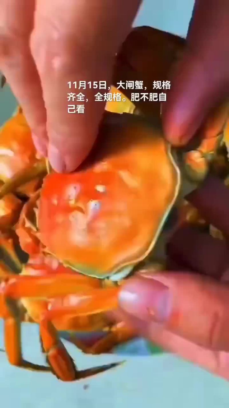 大闸蟹