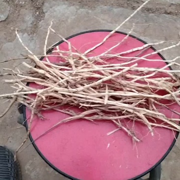 白前，中药材，