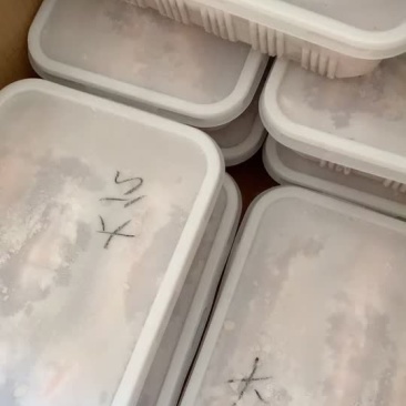 皮皮虾一盒一斤熟冻