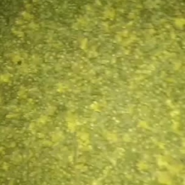 野菊花摘花机