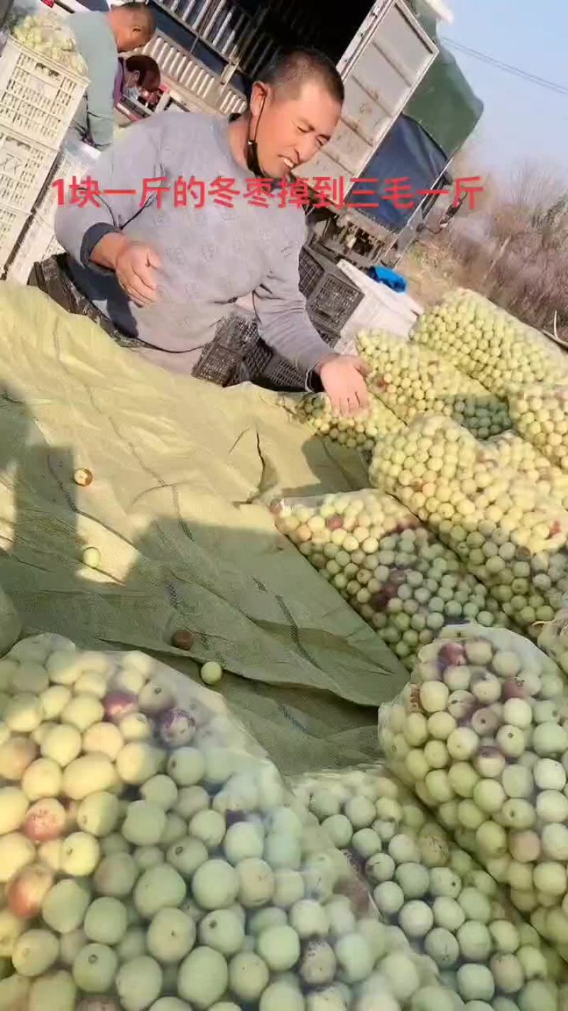 冬枣掉价这么快，市场行情下跌到底哪，拐三7元30斤。
