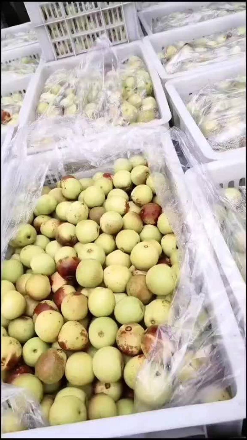 冬枣太便宜了，有要的老板联系一下