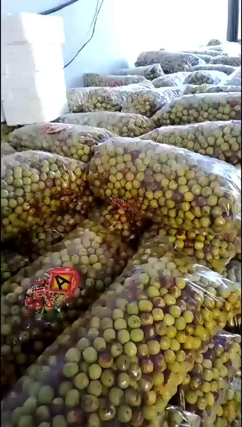 冬枣