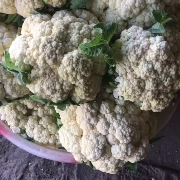 松花