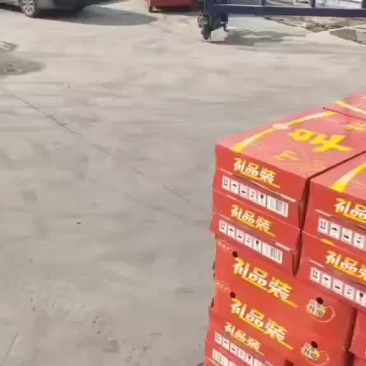 凉茶发货