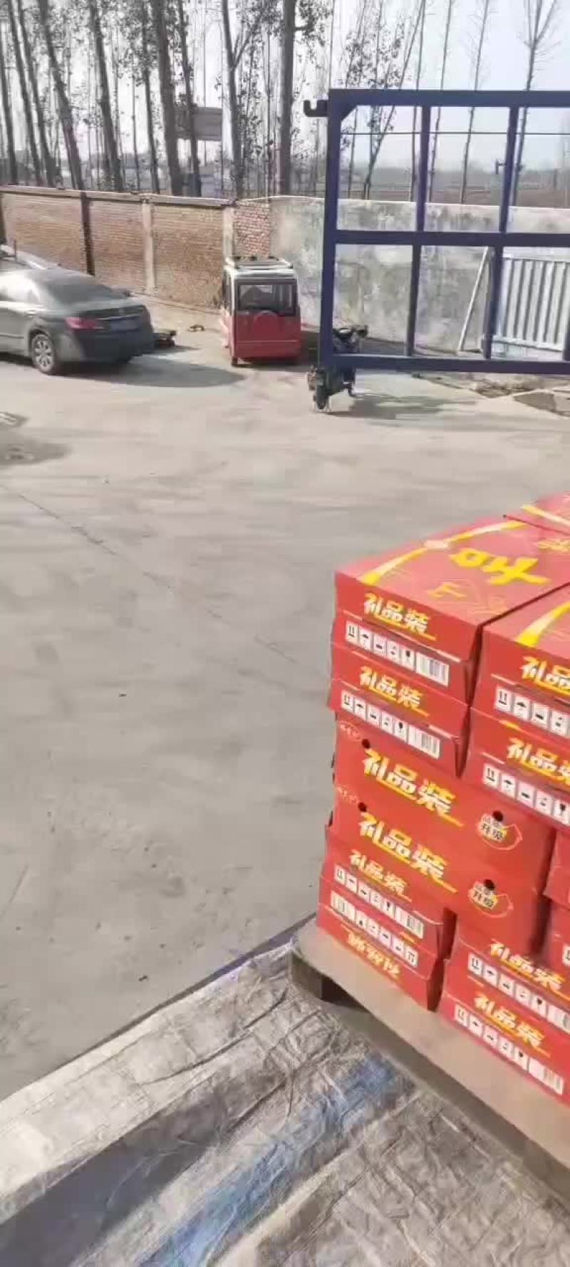 凉茶发货