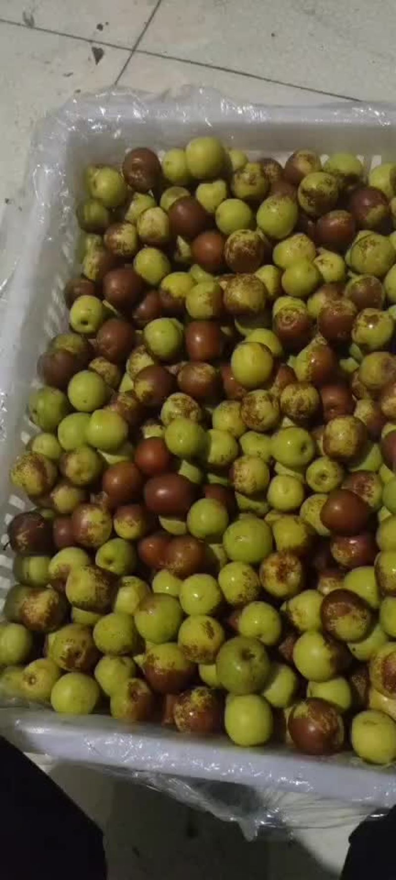 冬枣价格太便宜了，有要的赶紧